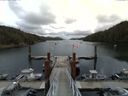 ./images/calvert/dock/20150804/dock20150804_114004.jpg
