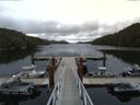 ./images/calvert/dock/20150804/dock20150804_144001.jpg