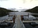 ./images/calvert/dock/20150804/dock20150804_144503.jpg
