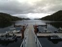 ./images/calvert/dock/20150804/dock20150804_154502.jpg