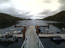 ./images/calvert/dock/20150804/dock20150804_155002.jpg