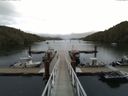 ./images/calvert/dock/20150804/dock20150804_162002.jpg