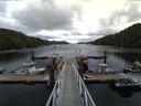 ./images/calvert/dock/20150804/dock20150804_172502.jpg