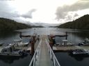 ./images/calvert/dock/20150804/dock20150804_173503.jpg