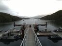 ./images/calvert/dock/20150804/dock20150804_174503.jpg