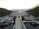 ./images/calvert/dock/20150804/dock20150804_181004.jpg
