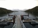 ./images/calvert/dock/20150804/dock20150804_182503.jpg