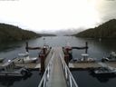 ./images/calvert/dock/20150804/dock20150804_183004.jpg