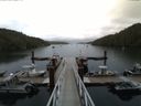 ./images/calvert/dock/20150804/dock20150804_183504.jpg