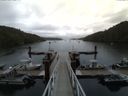 ./images/calvert/dock/20150804/dock20150804_184002.jpg