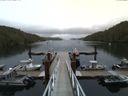 ./images/calvert/dock/20150804/dock20150804_185502.jpg