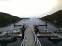 ./images/calvert/dock/20150805/dock20150805_061001.jpg