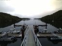 ./images/calvert/dock/20150805/dock20150805_063004.jpg