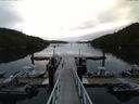 ./images/calvert/dock/20150805/dock20150805_070502.jpg