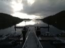 ./images/calvert/dock/20150805/dock20150805_074503.jpg