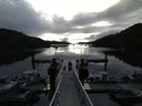 ./images/calvert/dock/20150805/dock20150805_081004.jpg