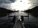 ./images/calvert/dock/20150805/dock20150805_085504.jpg