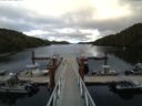 ./images/calvert/dock/20150805/dock20150805_190503.jpg