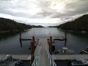 ./images/calvert/dock/20150806/dock20150806_121003.jpg