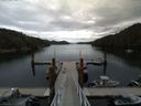 ./images/calvert/dock/20150806/dock20150806_121501.jpg