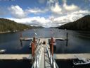 ./images/calvert/dock/20150807/dock20150807_145004.jpg