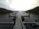 ./images/calvert/dock/20150808/dock20150808_085003.jpg
