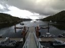 ./images/calvert/dock/20150808/dock20150808_124004.jpg