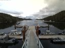 ./images/calvert/dock/20150808/dock20150808_182504.jpg