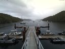 ./images/calvert/dock/20150808/dock20150808_191504.jpg