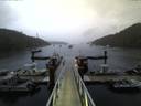./images/calvert/dock/20150808/dock20150808_211003.jpg