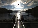 ./images/calvert/dock/20150809/dock20150809_081502.jpg