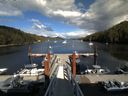 ./images/calvert/dock/20150809/dock20150809_171504.jpg