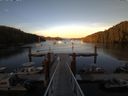 ./images/calvert/dock/20150811/dock20150811_202004.jpg