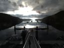 ./images/calvert/dock/20150812/dock20150812_074503.jpg