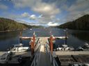 ./images/calvert/dock/20150814/dock20150814_172503.jpg