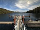 ./images/calvert/dock/20150817/dock20150817_153503.jpg