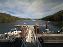 ./images/calvert/dock/20150817/dock20150817_163004.jpg