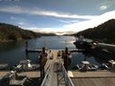 ./images/calvert/dock/20150819/dock20150819_113002.jpg