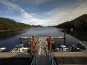 ./images/calvert/dock/20150826/dock20150826_165001.jpg