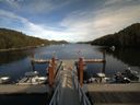 ./images/calvert/dock/20150826/dock20150826_165503.jpg
