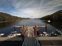 ./images/calvert/dock/20150826/dock20150826_171002.jpg