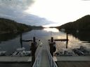 ./images/calvert/dock/20150827/dock20150827_071501.jpg