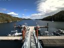 ./images/calvert/dock/20150827/dock20150827_142502.jpg