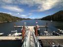 ./images/calvert/dock/20150827/dock20150827_150004.jpg