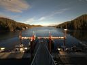 ./images/calvert/dock/20150827/dock20150827_184502.jpg