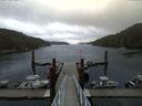 ./images/calvert/dock/20150828/dock20150828_081503.jpg