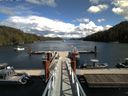 ./images/calvert/dock/20150828/dock20150828_140503.jpg