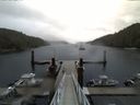 ./images/calvert/dock/20150901/dock20150901_074502.jpg