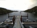 ./images/calvert/dock/20150901/dock20150901_115503.jpg