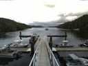 ./images/calvert/dock/20150901/dock20150901_134504.jpg